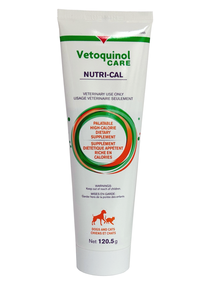 High calorie paste for dogs 2025